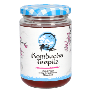 Подсилва имунитета - Комбуча Чаена гъба с ферментирал плодов чай, 200 ml