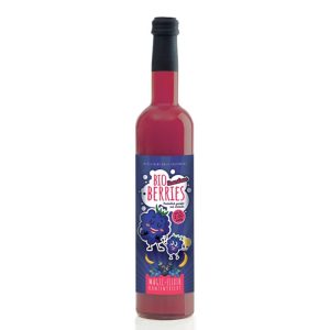 Плодов сок от къпини, боровинки, касис, арония и банани (концентрат), 750 ml