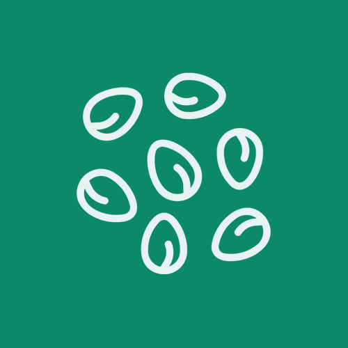 Семена, продукти от семена и мюсли